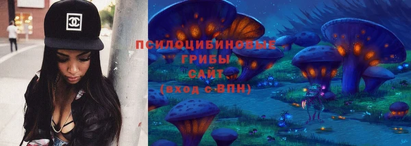 ешки Переславль-Залесский