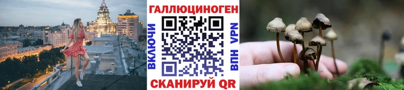 гидра онион  darknet Telegram  Галлюциногенные грибы Psilocybine cubensis  купить наркотик  Волгореченск 